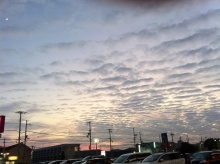 秋空.jpg