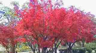 2011120412230000.jpg