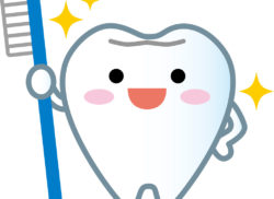 歯のおはなし２