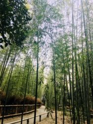 初めましてのご挨拶♬