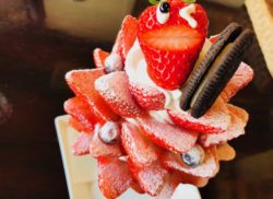 ストロベリーツリー