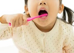 生え変わり期について