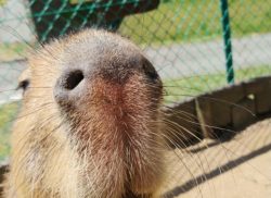 ゴールデンウィーク