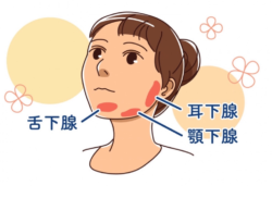 唾液線マッサージ