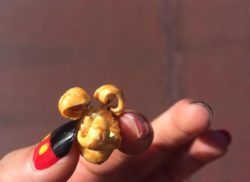 夢の国での出来事(^^)