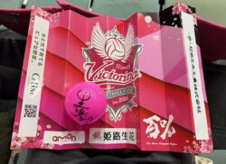 バレーボール観戦